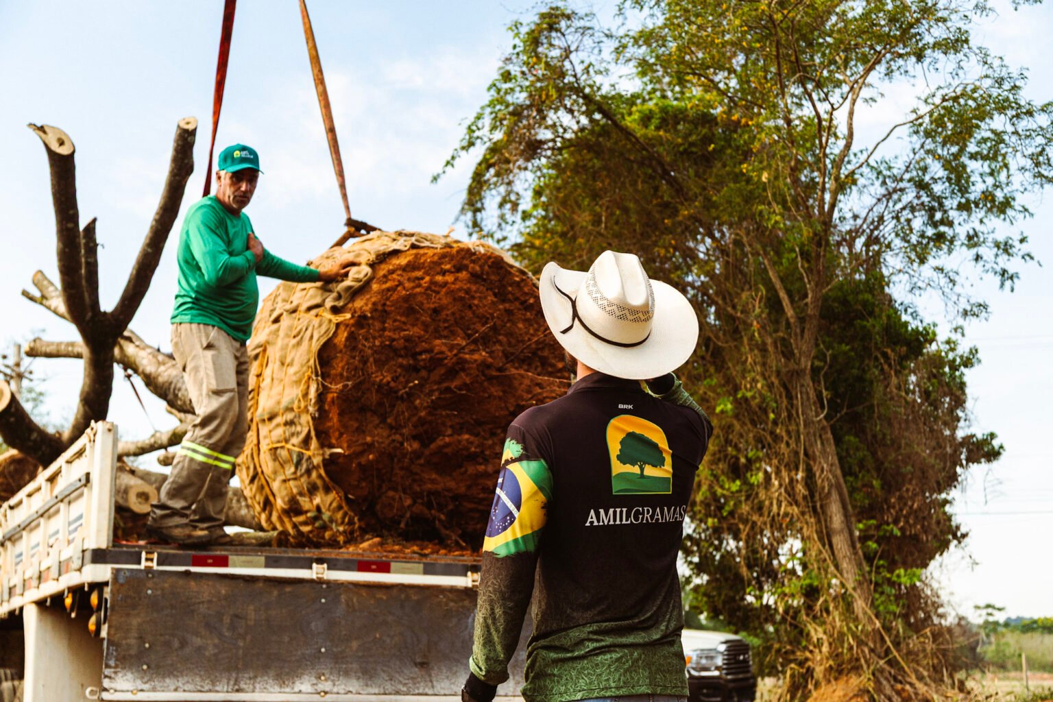 Equipe da Amil Gramas transportando uma árvore de grande porte