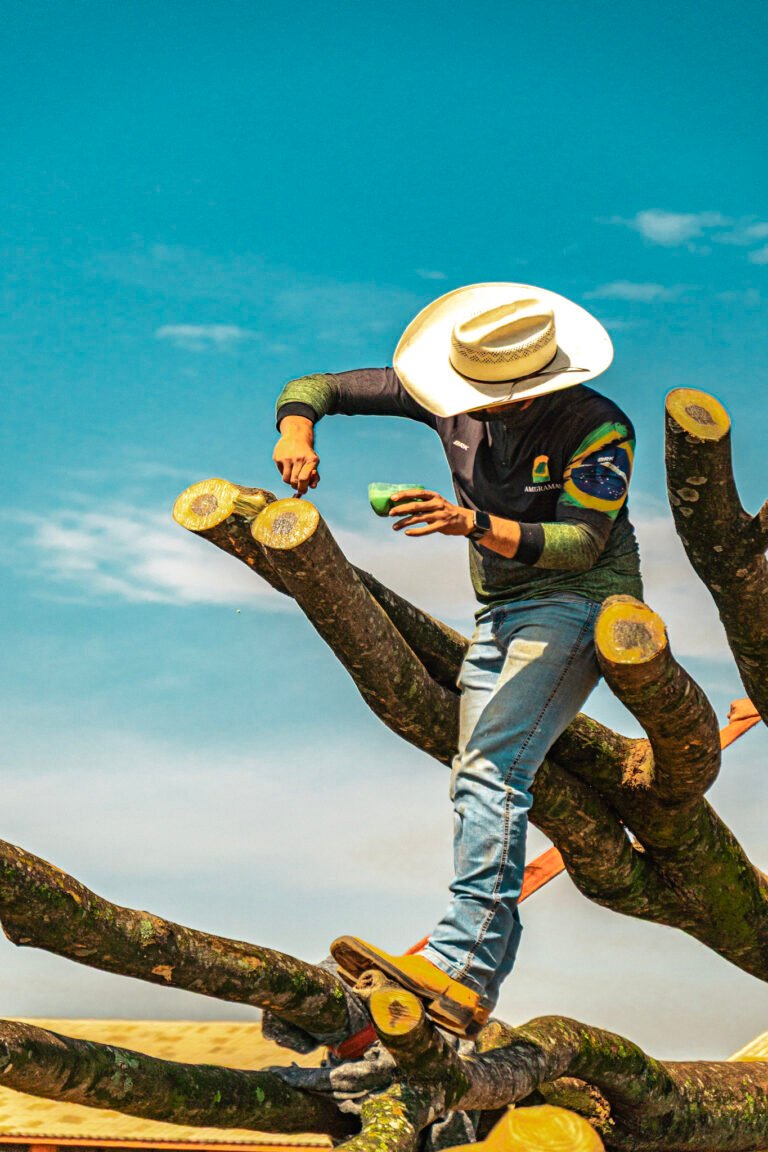 Trabalho de manejo de árvores realizado pela Amil Gramas