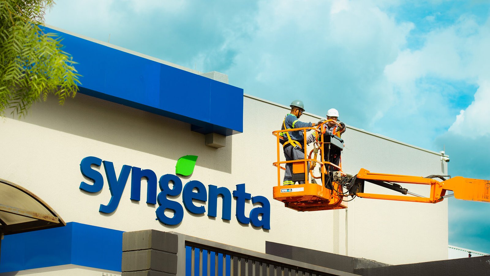 Acompanhamento de obra Syngenta