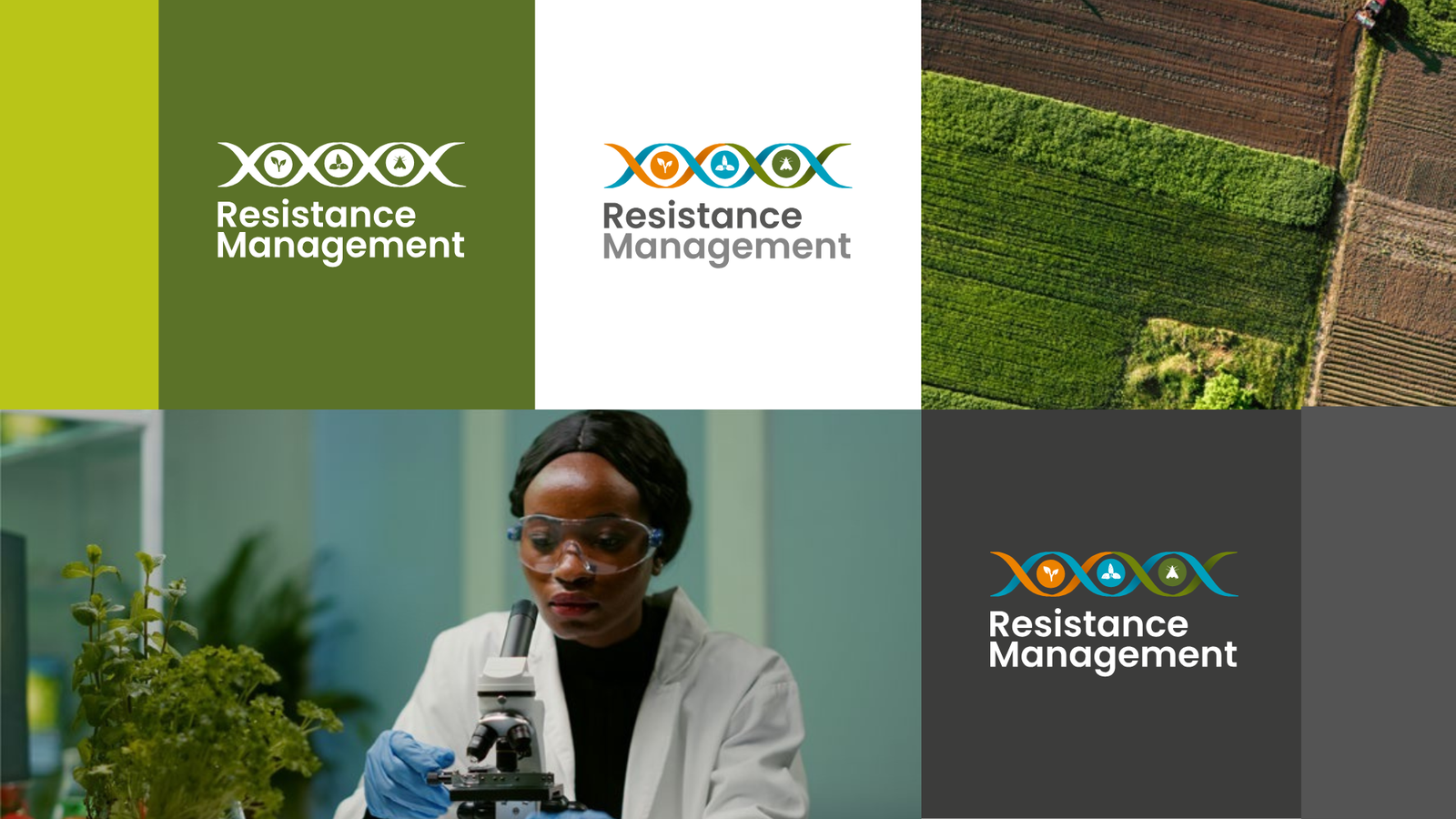 Peça visual Syngenta