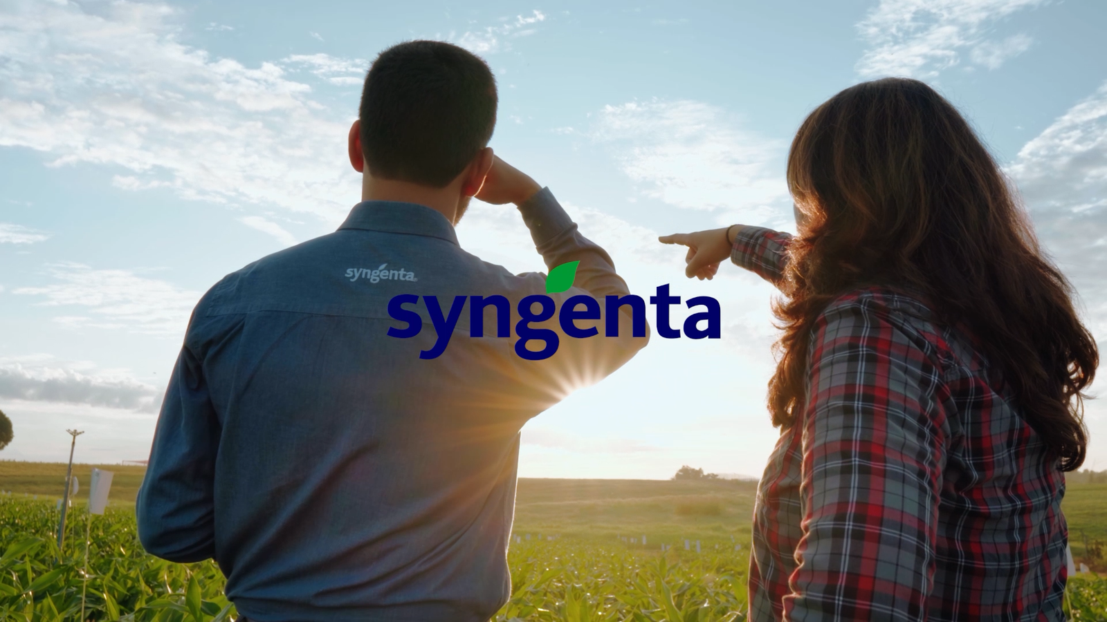 Banco de imagens Syngenta